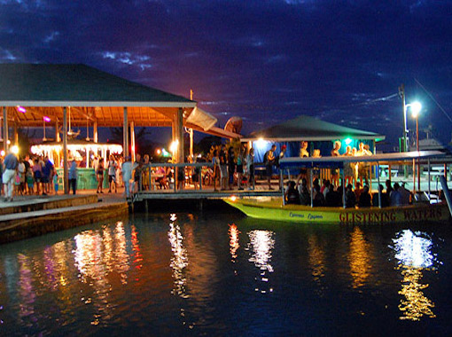 Charters for Luminous Lagoon Charters for Luminous Lagoon