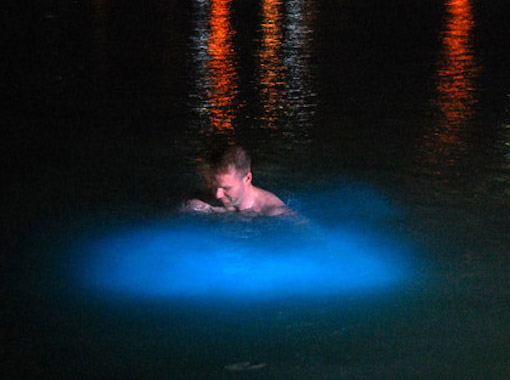 Swimming in Luminous Lagoon