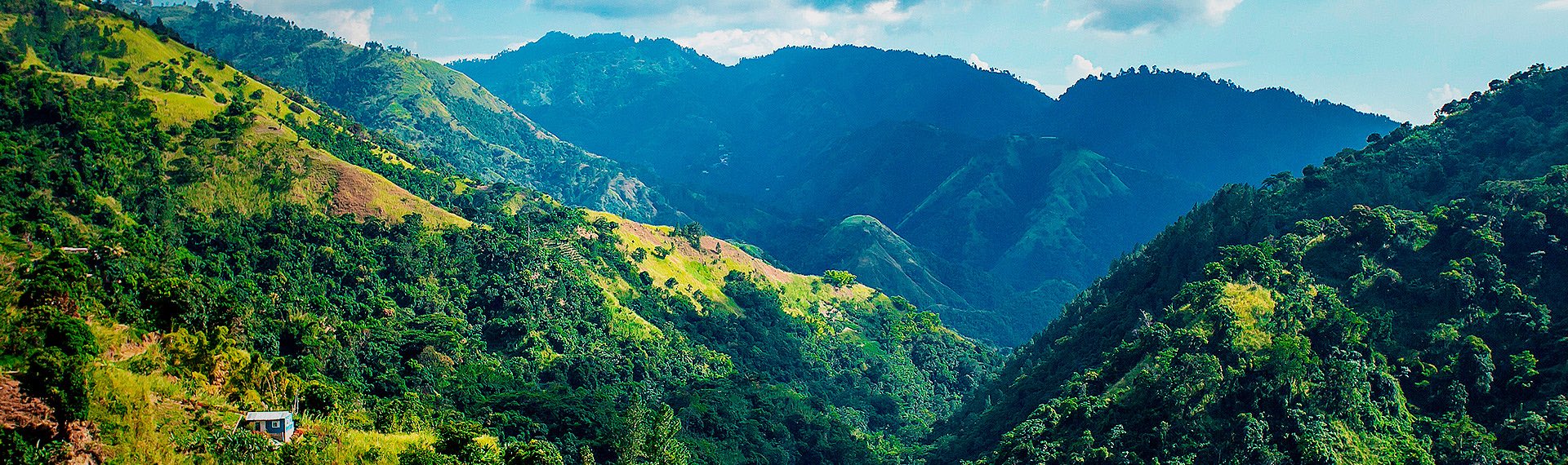 Admire the spectacular landscapes of the Blue Mountains Jamaica