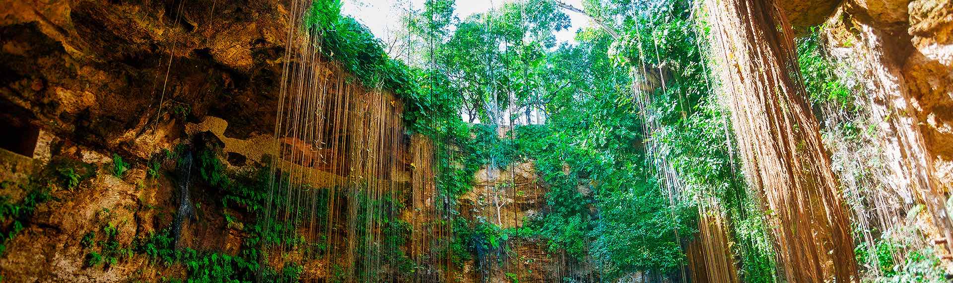 Cancun's Cenotes photo Mexican Caribbean, Riviera Maya, Mexican cenotes, Ruta de los Cenotes, Cancun cenotes photos, Cancun landsacapes