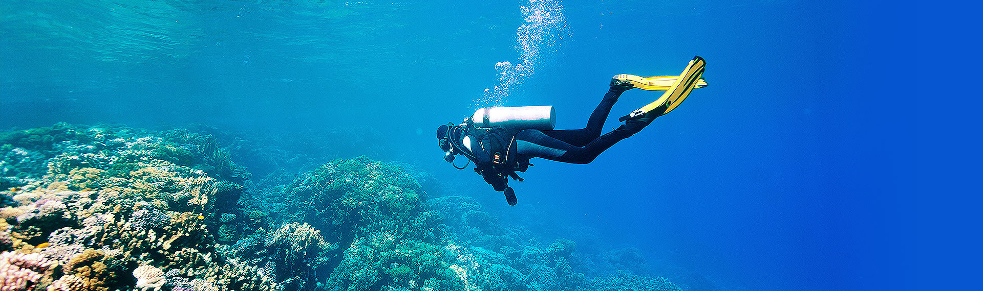 Caribbean dive sites Dive sites, Mexican Caribbean, Caribbean adventure, Riviera Maya, scubba diving