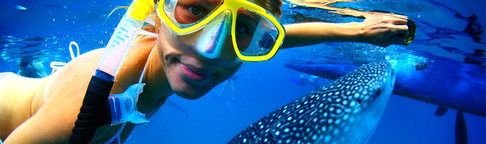 Stunning shot of girl feeding the whale shark on her all inclusive vacations