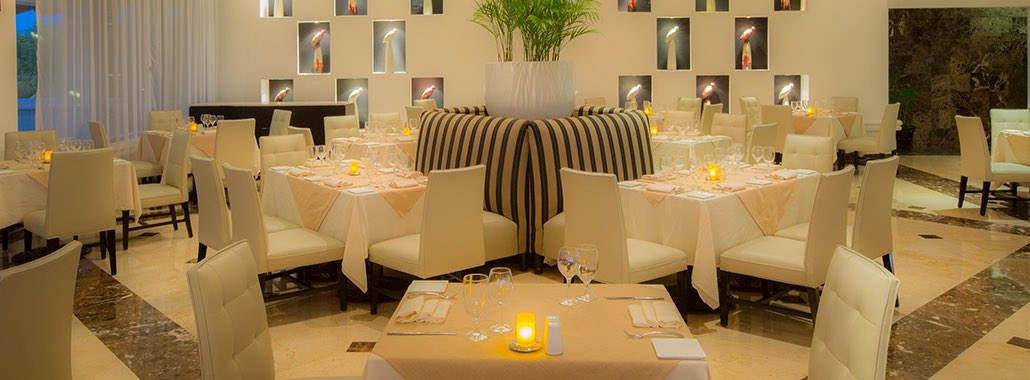 Mexican food, a whole culinary experience Mexican food, a whole culinary experience