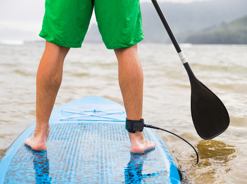 Stand Up Paddle Boarding