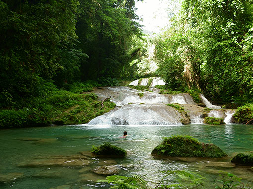 Ecotourism accompanied by stunning landscapes Wonderful natural ponds to swim and enjoy Caribbean ecotourism