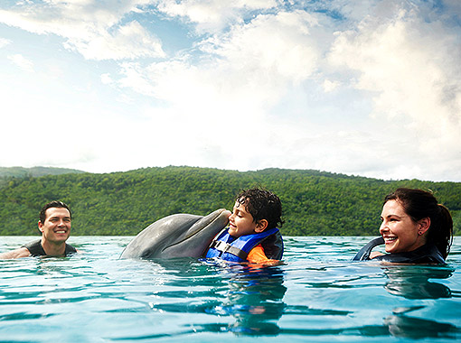 Family enjoying and swimming with dolphins during their holidays in Jamaica all inclusive